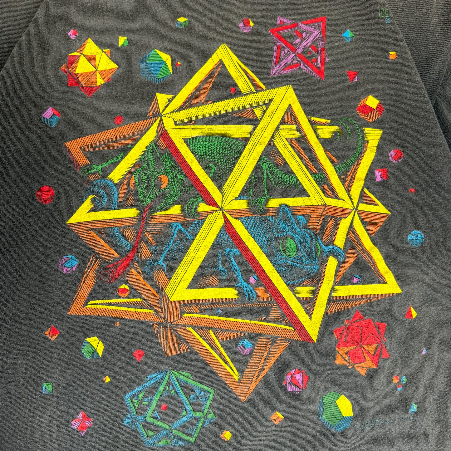 CHAMELEON BLACK 90s M.C.ESCHER “良フェード”