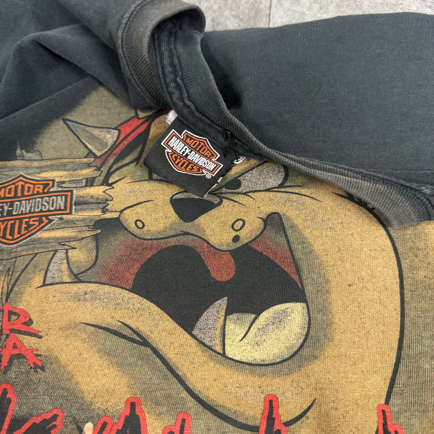 00s HARLEY-DAVIDSON with Warner Bros