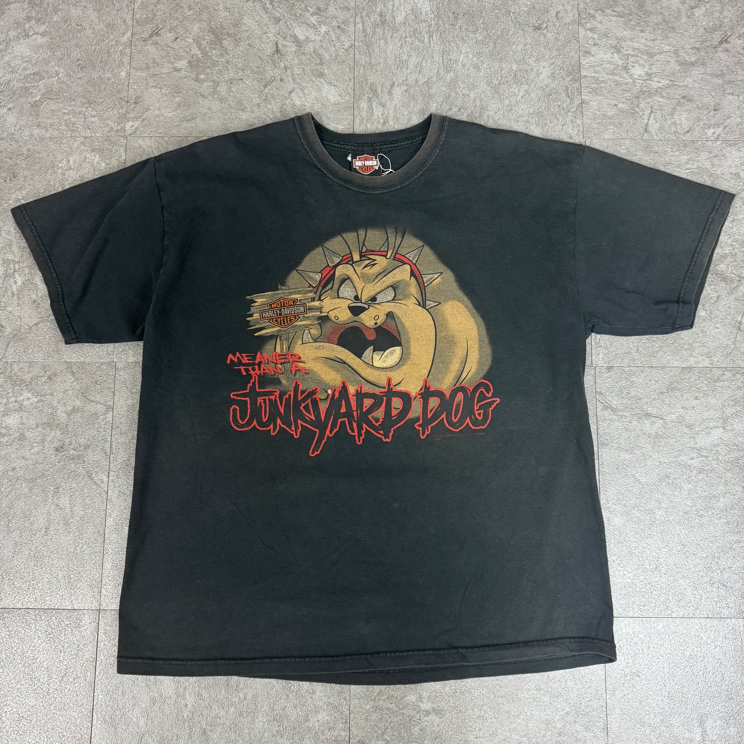 00s HARLEY-DAVIDSON with Warner Bros