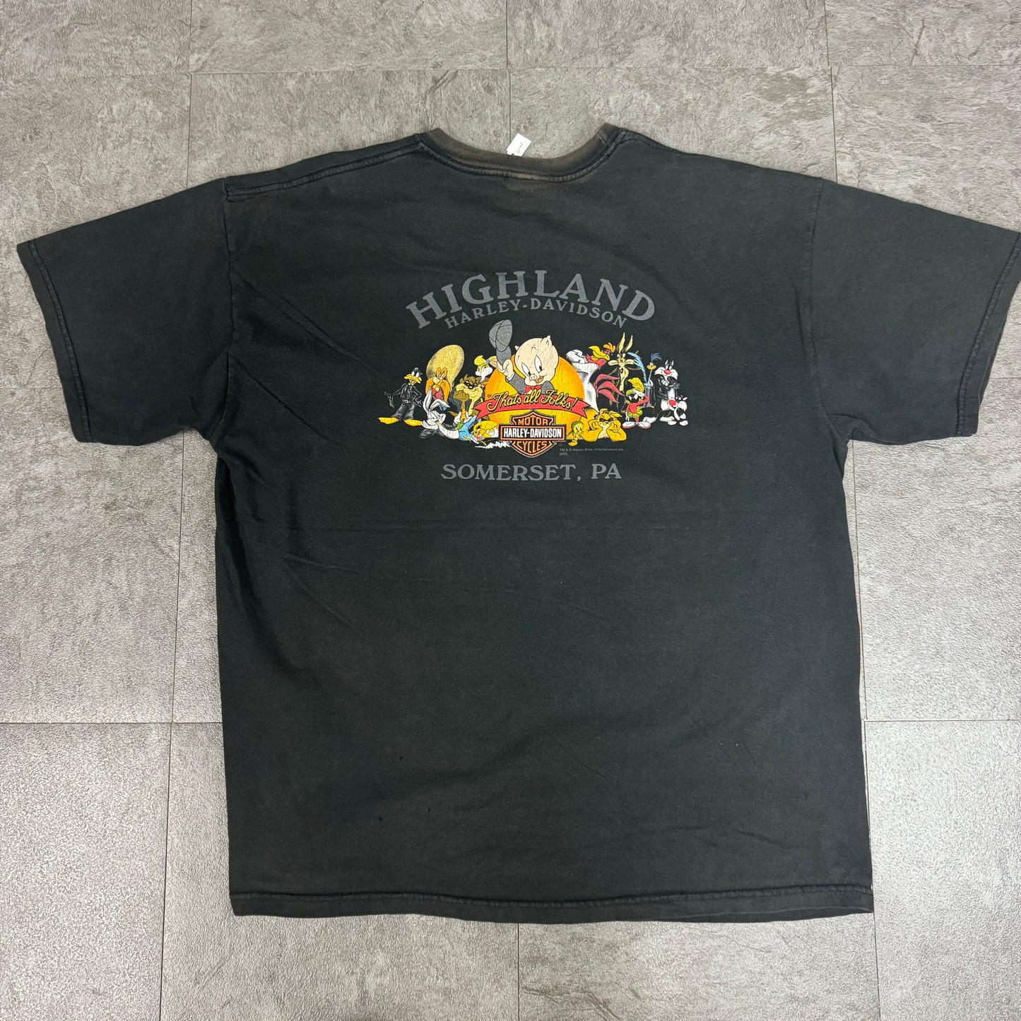00s HARLEY-DAVIDSON with Warner Bros