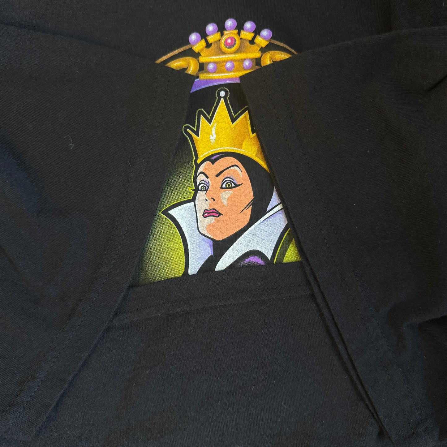Disney "WICKED QUEEN"