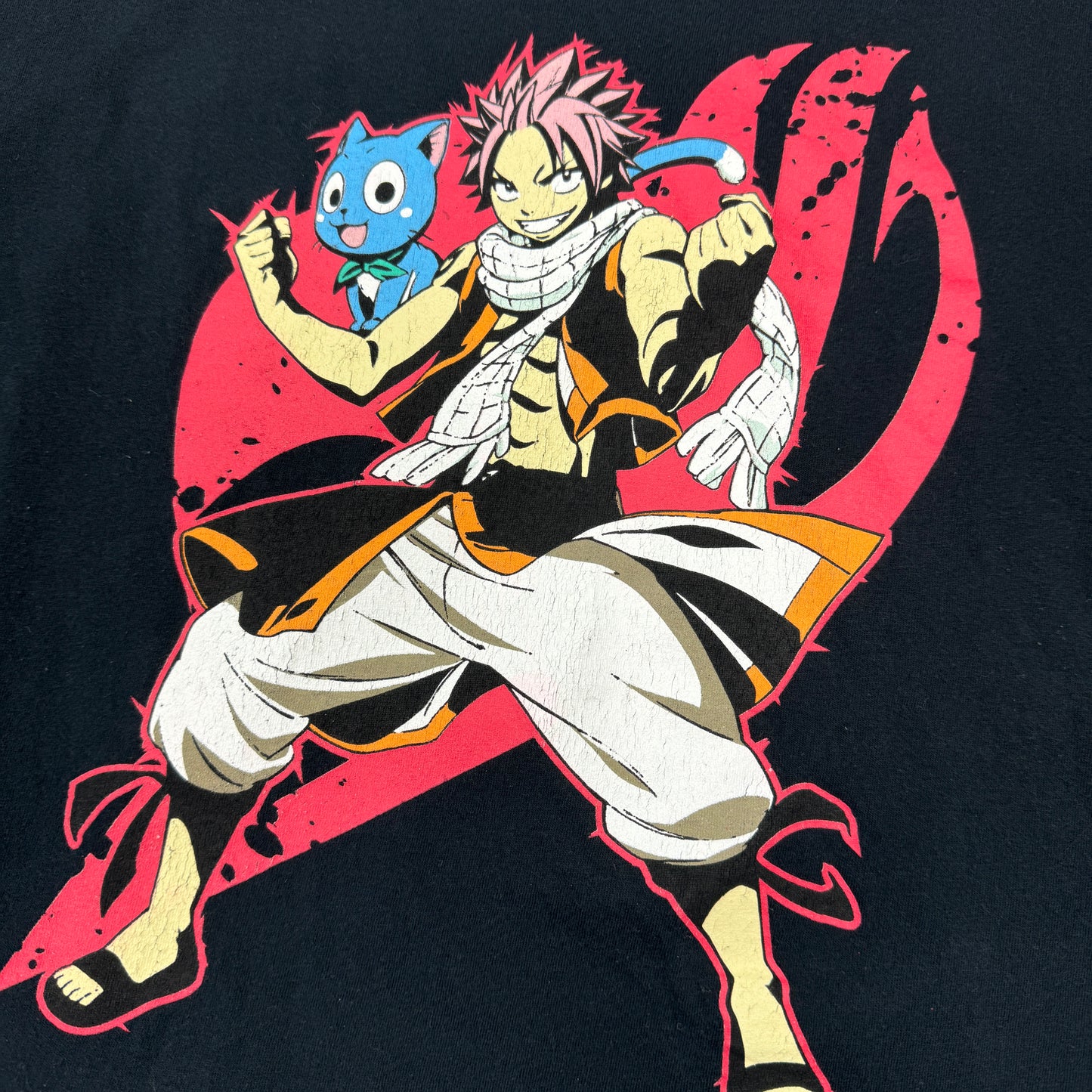 FAIRY TAIL/フェアリーテイル “ナツ、ハッピー”