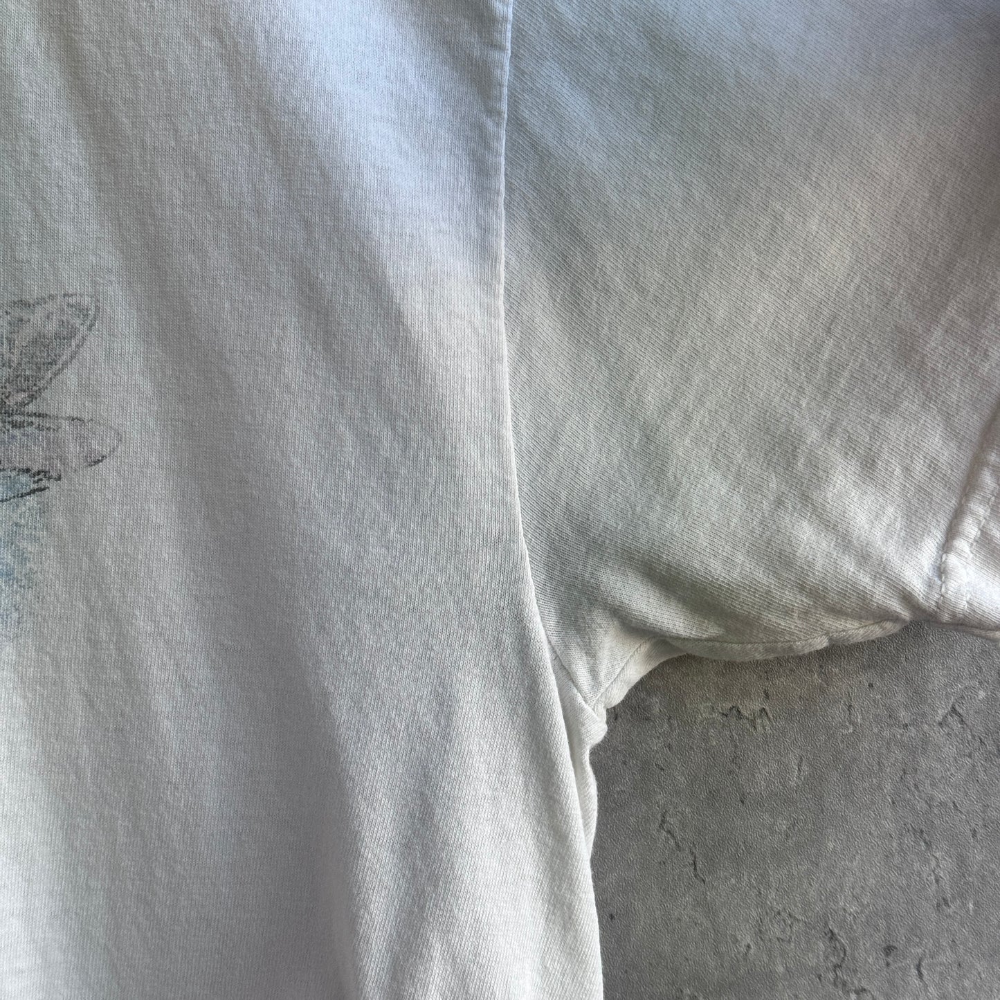 00s GREEN DAY "Dookie"襤褸